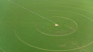 Agriculture